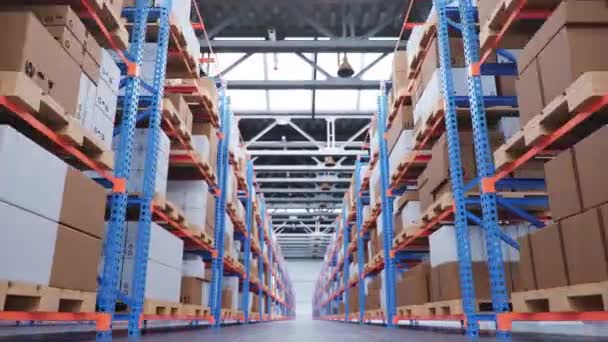 産業倉庫の棚の上の箱の眺め — ストック動画