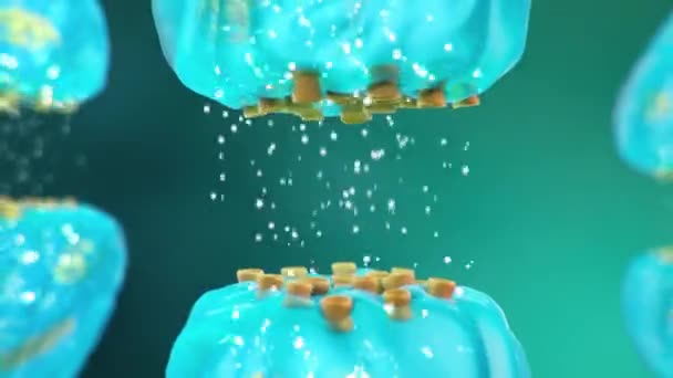 processus de transmission neuronale, vidéo de mouvement 3d 