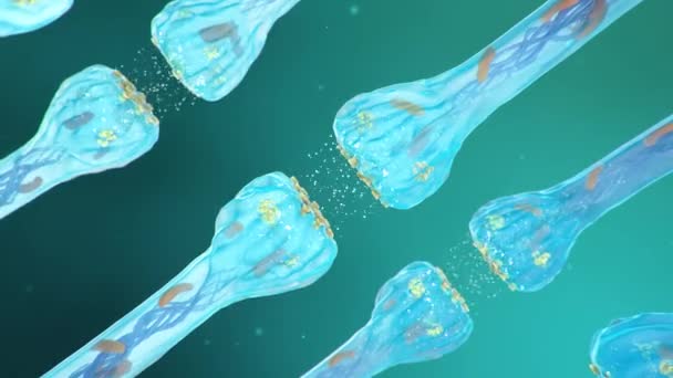 Proceso Transmisión Neuronal Video Movimiento — Vídeo de stock