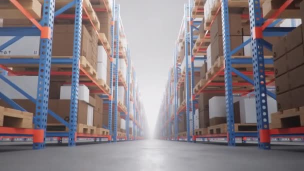Vue Des Boîtes Sur Étagères Dans Entrepôt Industriel — Video