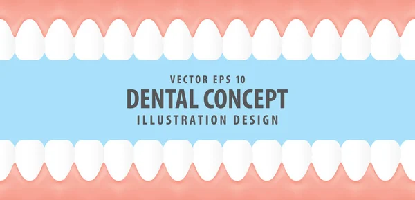 Dientes y encías en el interior ver vector de ilustración de estilo virtual en b — Archivo Imágenes Vectoriales