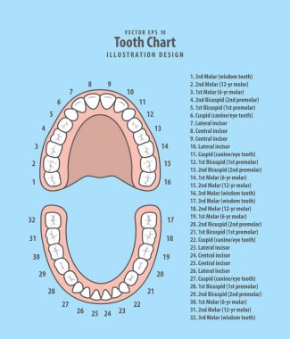 Sayı Infographic illüstrasyon vektör mavi ile diş grafik 