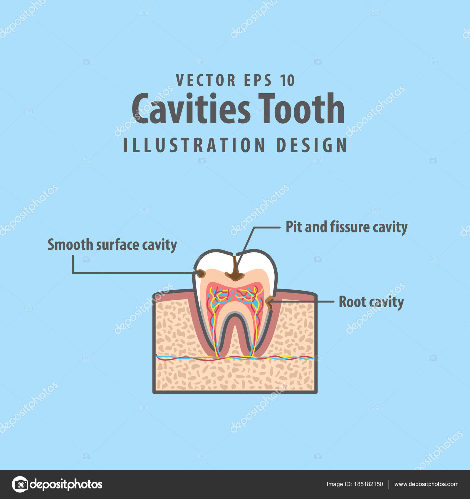 Cross Section Chart