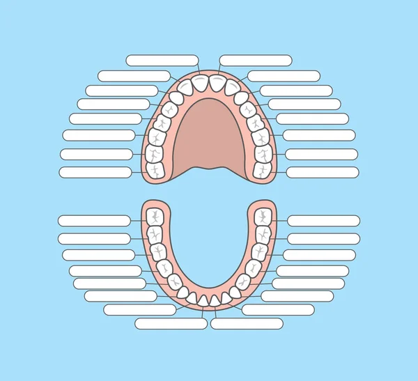 Zahndiagramm leerer Illustrationsvektor auf blauem Hintergrund. Zahnmedizin — Stockvektor