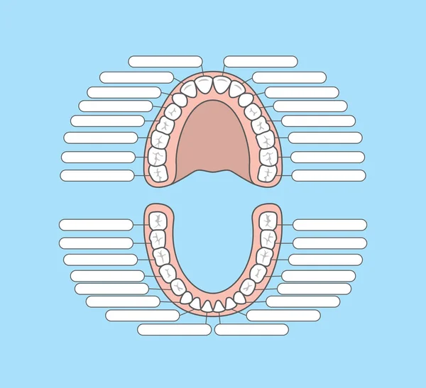 在蓝色背景下的齿形图空白插图向量。牙科 — 图库矢量图片