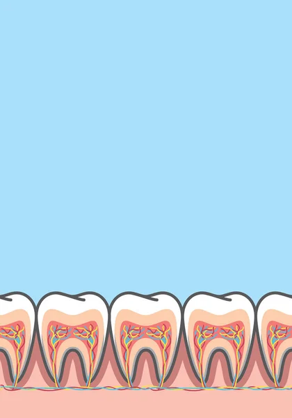Leere Bannerquerschnittsstruktur innerhalb der Zähne Abbildung v — Stockvektor