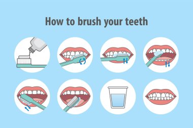 How to brushing teeth illustration vector on blue background. De clipart