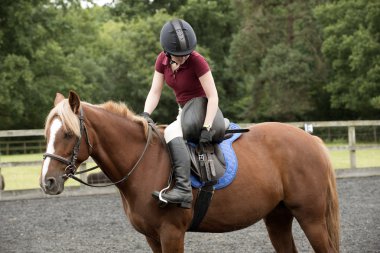 Kolan kayışlar bir eyer üzerinde sıkma midilli binici