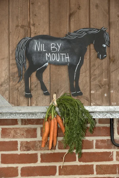 Концепция. Запрещена еда с морковью на конюшне — стоковое фото