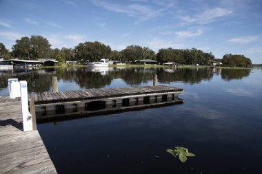 St Johns nehirde Volusia County Florida ABD