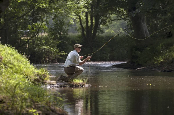 Pesca a mosca en el río Devon Inglaterra Reino Unido —  Fotos de Stock