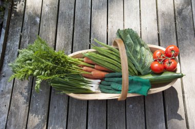 Taze sebze Bahçe trug