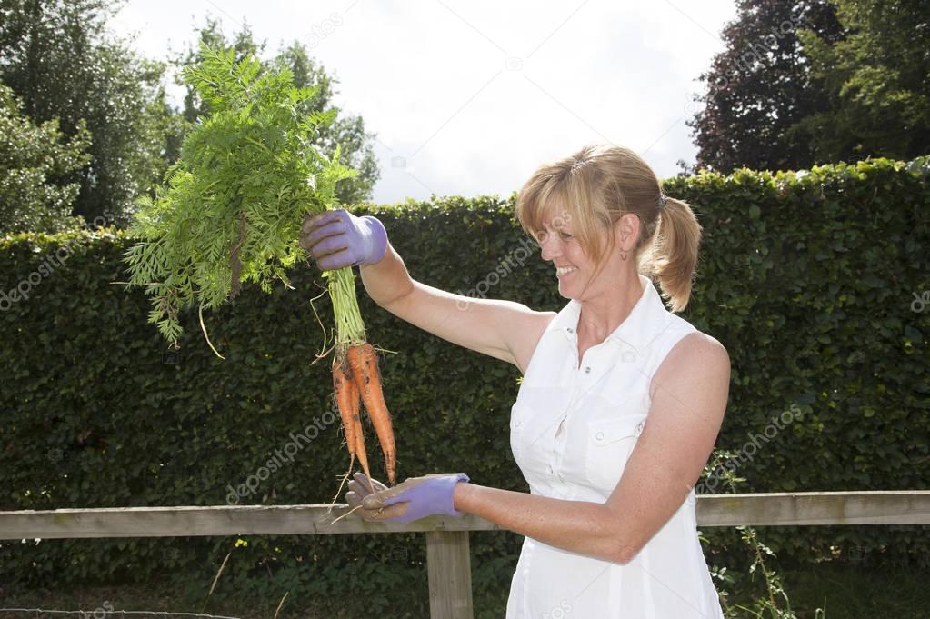 Woman harvesting carrots from a garden