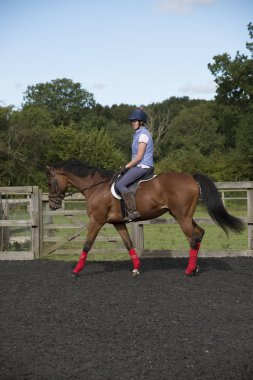 Bir at bir padok içinde egzersiz kadın binici