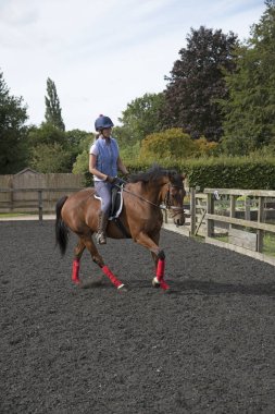 Bir at bir padok içinde egzersiz kadın binici