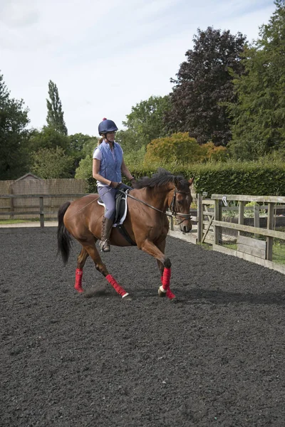 Mulher cavaleiro exercitando um cavalo em uma paddock — Fotografia de Stock