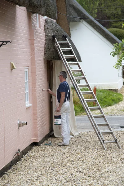 A painter decorator paints the house walls in a pink color — Stock Photo, Image