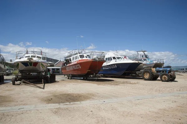 Shark dive boats at Kleinbaai Harbor South Africa — Stock Photo, Image