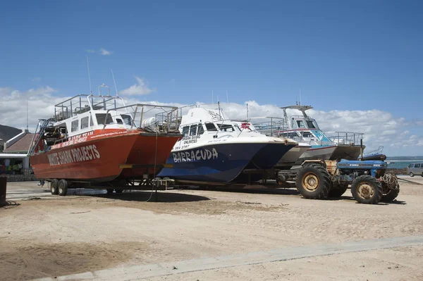 Bateaux de plongée pour requins à Kleinbaai Harbor Afrique du Sud — Photo