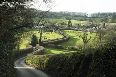 Tipik dar ülke lane Devon İngiltere'de İngiltere'de