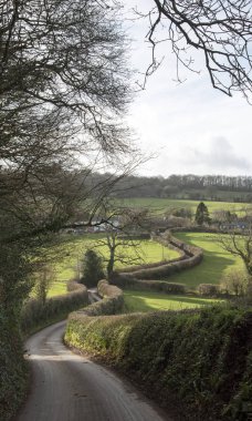 Tipik dar ülke lane Devon İngiltere'de İngiltere'de