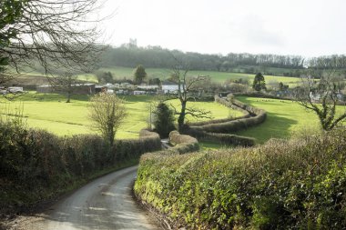 Tipik dar ülke lane Devon İngiltere'de İngiltere'de