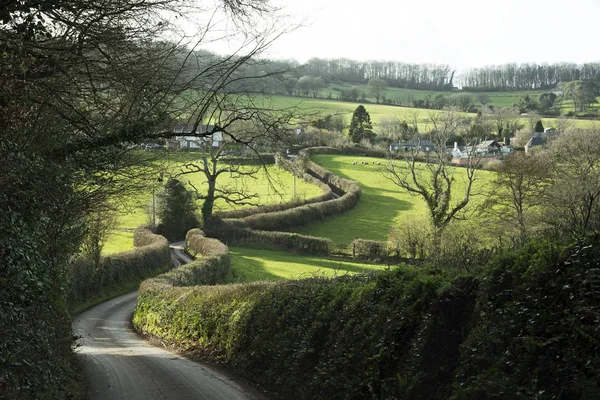 Typical narrow country lane in Devon England UK
