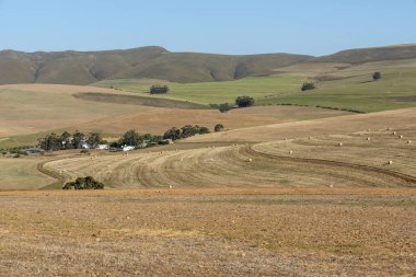 Caledon, Western Cape, South Africa, December 2019.  With the wheat harvest finished some bales remain in this scenic wheatlands area close to Caledon, South Africa.