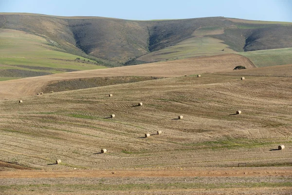 Caledon, Western Cape, South Africa, December 2019.  With the wheat harvest finished some bales remain in this scenic wheatlands area close to Caledon, South Africa.