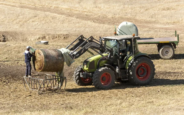 Caledon Western Cape Sydafrika December 2019 Traktor Och Plastbalar Djurfoder — Stockfoto