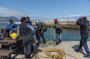 Hermanus, Batı Burnu, Güney Afrika. Aralık 2019. Profesyonel dalgıçlar eğitim kursu, Hermanus 'taki New Harbour' da çalışan öğrenciler..