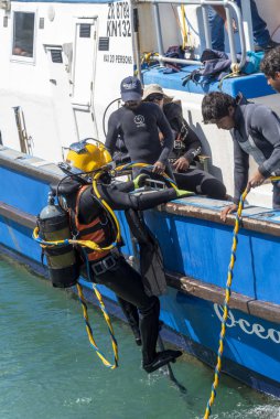 Hermanus, Western cape, South Africa. December 2019. Professional divers training course, students working from a boat at the New Harbour in Hermanus. clipart