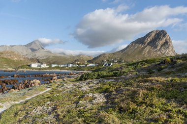 Rooiels, Batı Burnu, Güney Afrika. Aralık 2019. Clarence 'da küçük bir toplulukta kalıyor. Gordons Körfezi' nin güneyinde ünlü bir sahil yolu ve bahçe yolu kullanıyor.