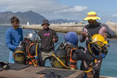 Hermanus, Batı Burnu, Güney Afrika. Aralık 2019. Profesyonel dalgıçlar, dalmadan önce genç dalgıçları hazırlama kursu..