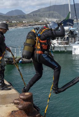 Hermanus, Batı Burnu, Güney Afrika. Aralık 2019. Profesyonel dalgıçlar eğitim kursu. Öğrenci Güney Afrika, Hermanus 'ta denize atladı