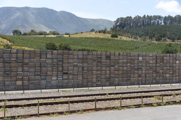 Elgin Western Cape South Africa December 2019 Boxes Stacked Fruit — Stock Photo, Image