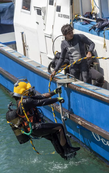 Hermanus, Batı Burnu, Güney Afrika. Aralık 2019. Profesyonel dalgıçlar eğitim kursu, Hermanus 'taki Yeni Liman' da çalışan öğrenciler..