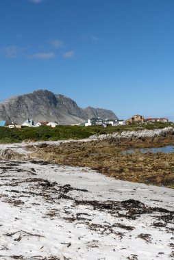 Betty Körfezi, Batı Burnu, Güney Afrika. Aralık 2019. Dağlar, mülkler ve Güney Afrika 'daki bahçe rotasındaki Betty' s Bay plajı..