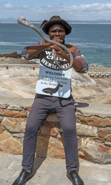 Hermanus, Batı Burnu, Güney Afrika. Aralık 2019. Hermanus 'un balina avcısı boynuzunu kullanarak Hint Okyanusu' nun arka planına sahip..