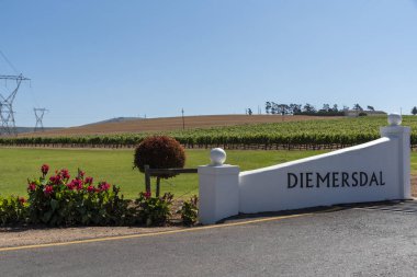 Durbanville, Cape Town, Güney Afrika. Aralık 2019. Güney Afrika 'da Cape Town yakınlarında yetişen Durbanville şarabında üzüm üzümleri. Şaraphaneye giriş kapısı..