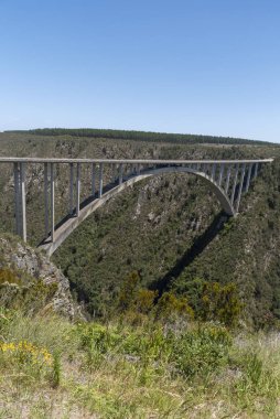 Bloukrans Köprüsü, Doğu Burnu, Güney Afrika. Aralık 2019. Bloukraans Köprüsü, Doğu Burnu 'ndaki bahçe yolu boyunca vadinin 216 metre yukarısında bir paralı yol taşıyor..