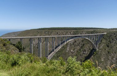 Bloukrans Köprüsü, Doğu Burnu, Güney Afrika. Aralık 2019. Bloukraans Köprüsü, Doğu Burnu 'ndaki bahçe yolu boyunca vadinin 216 metre yukarısında bir paralı yol taşıyor..