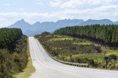 Tsitsikamma, Doğu Burnu, Güney Afrika, Aralık 2019. Doğu Burnu bölgesindeki Tsitsikamma yakınlarında bahçe yolu üzerinde boş bir yol var. Güney Afrika