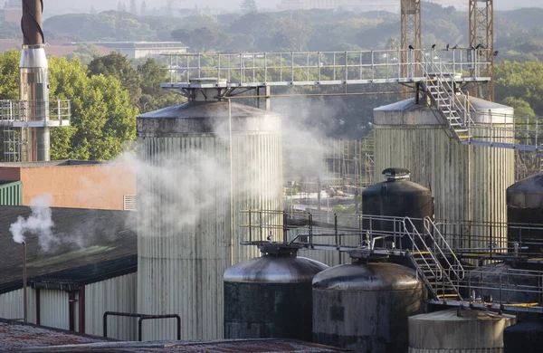 Newlands Kapstaden Sydafrika Beslut 2019 Översikt Över Ett Bryggeri Produktion — Stockfoto