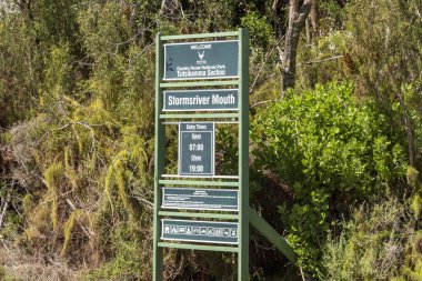 Tsitsikamma, Doğu Burnu, Güney Afrika. 2019.