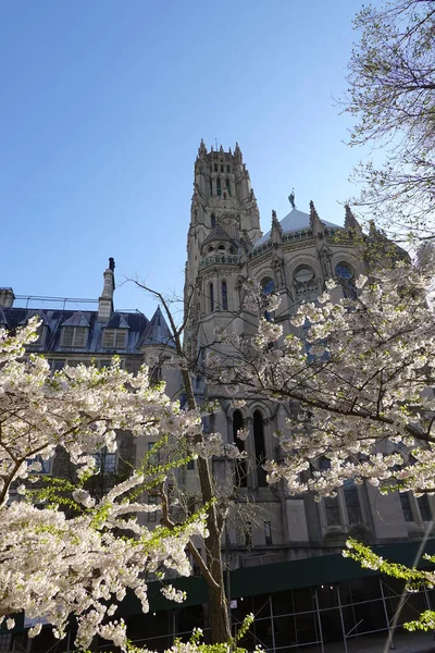 Upper Manhattan New York Usa Early Summer Blossom Claremont Avenue — Stock Photo, Image