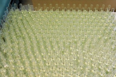 Enjeksiyon için steril kapsül. Şişe ilaç fabrikası şişeleme hatta. Makine steril sıvılar kontrol ettikten sonra. İnterferon, nasoferon.