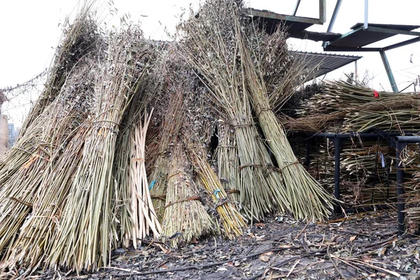 Production of furniture from the vine. Factory of creation of na