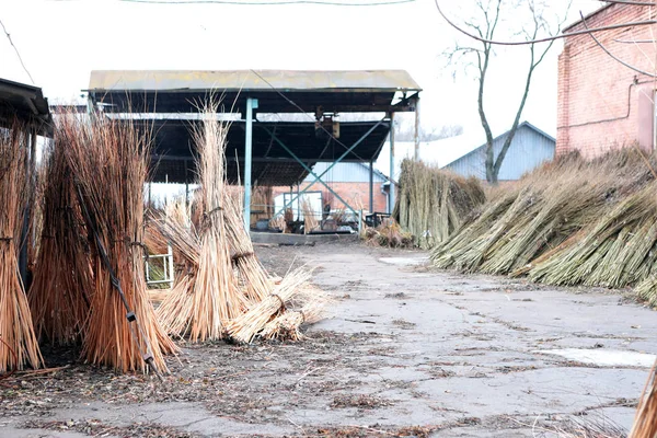 Production of furniture from the vine. Factory of creation of na