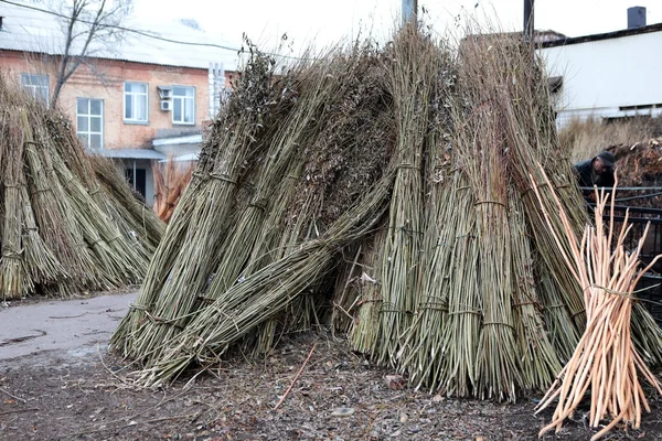 Production of furniture from the vine. Factory of creation of na